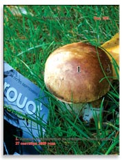 Маслята обыкновенные (Suillus lureus)