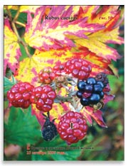Ежевика (Rubus caesius)
