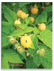 Малина жёлтая (Rubus ellipticus)