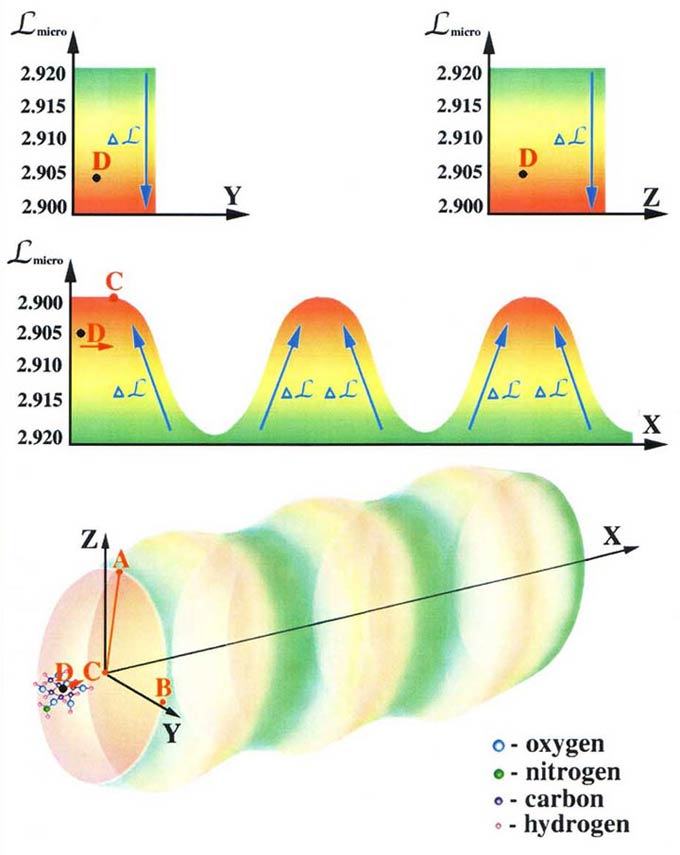 спиралевидная пространственная форма молекул РНК и ДНК обеспечивает создание во внутреннем объёме этих молекул анизотропного микропространства