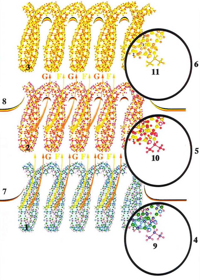 если один и тот же сигнал из внешней среды поступает в мозг многократно