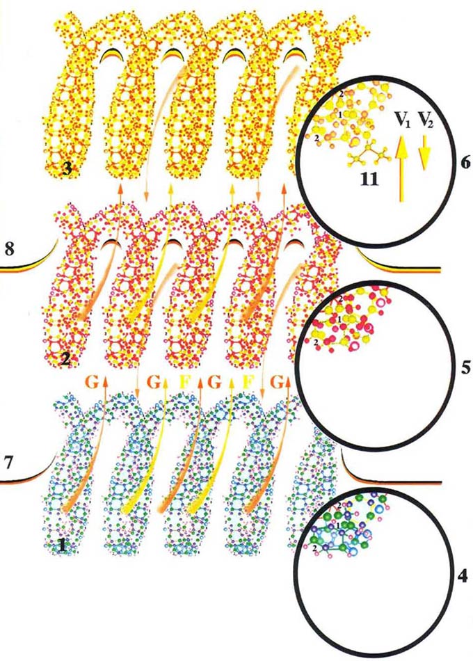 чаще всего возникающие вихревые потоки первичных материй, которые, как цунами, проходят по тем или иным участкам мозга, &laquo;сметают&raquo; на своём пути всё, что попадается им на пути.
