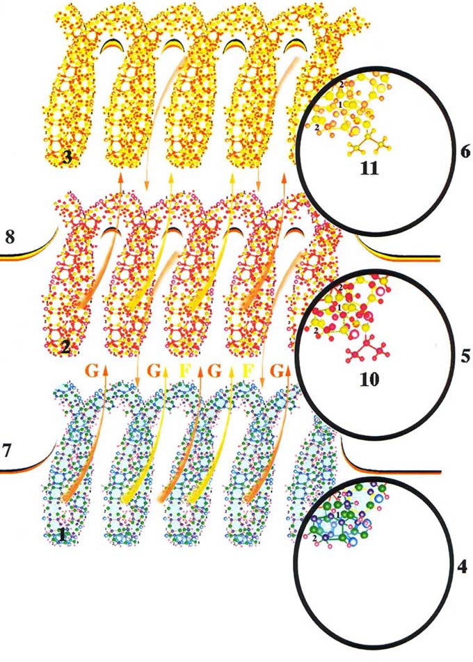 восстанавливается оригинальная структура кода памяти, созданного внешним сигналом,