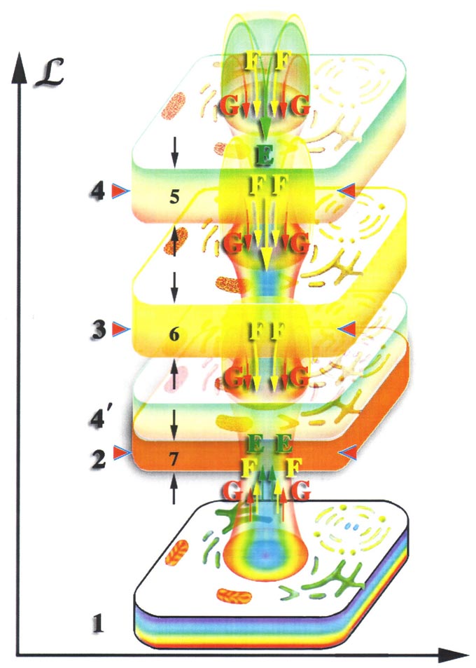 проекция четвёртого тела на уровне третьего тела изменяет качественное состояние окружающего пространства