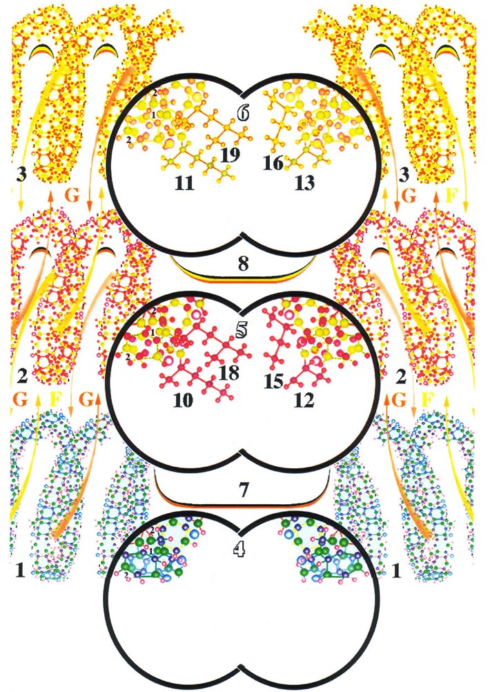 Эфирные и астральные структуры нейронов