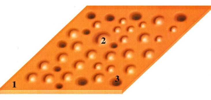 сигналы из внешней среды в виде ионных кодов, придя в нейроны мозга, создают отпечатки на эфирном уровне