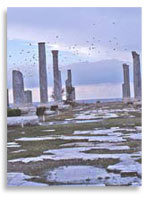 «Римские» развалины, Тир