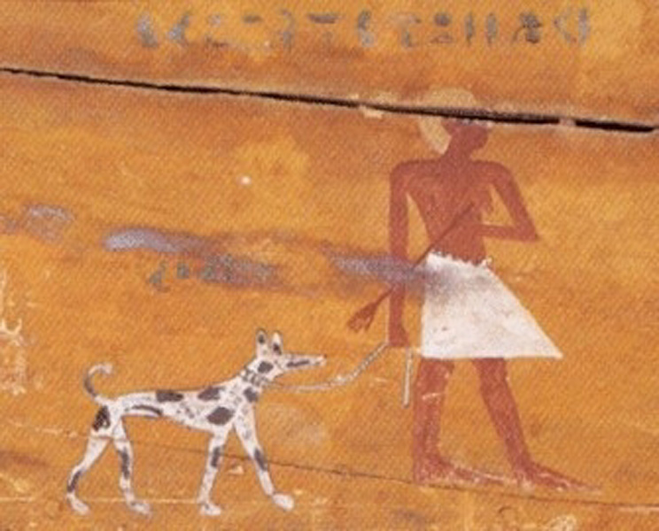 Гроб знатного египтянина по имени Куй