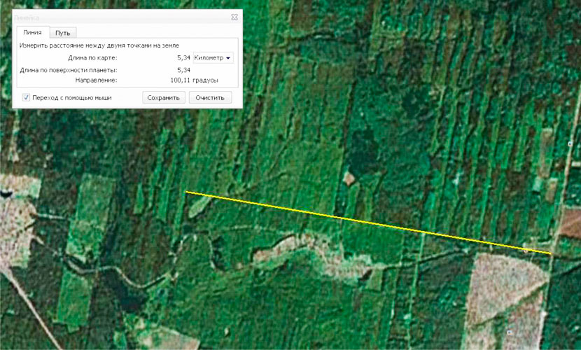Лесные кварталы с просеками имеют прямоугольный вид