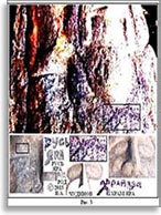 Рис. 2. Камень с прекрасно сохранившимся рельефным ликом