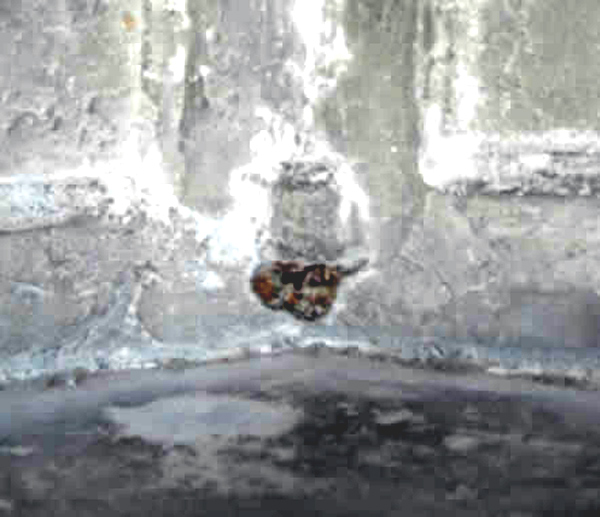 Металлический шарнир ставней. Вилла Мистерий. Помпеи