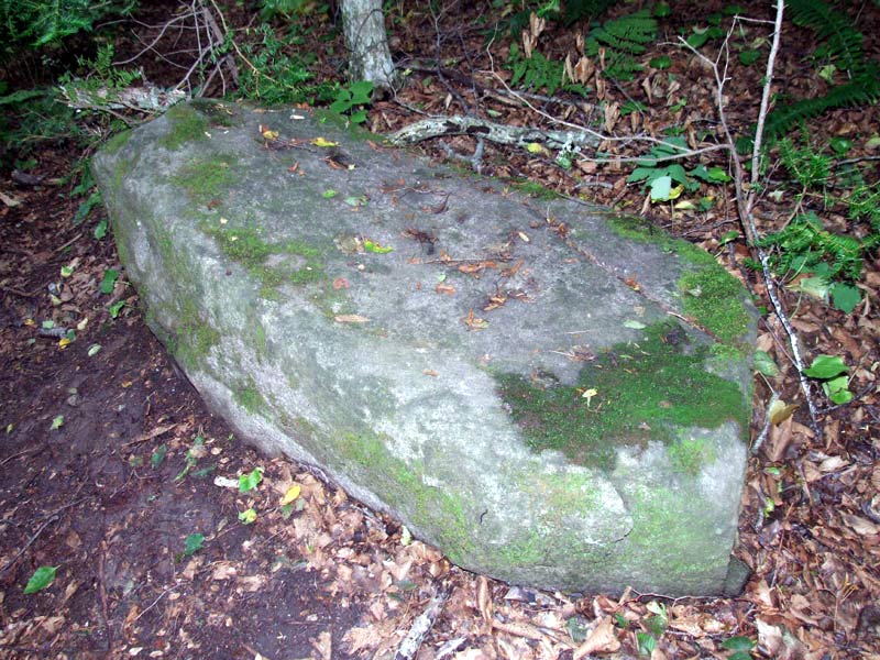 Камни на острове Петрова