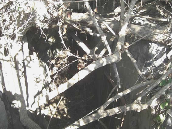 Водовод инженера Фонтана перед его входом в фабрику. Водовод инженера Фонтана перед его входом в фабрику.