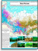 Карта лесов России