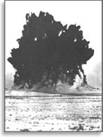 Ядерный взрыв на реке Чаган в 1965 году